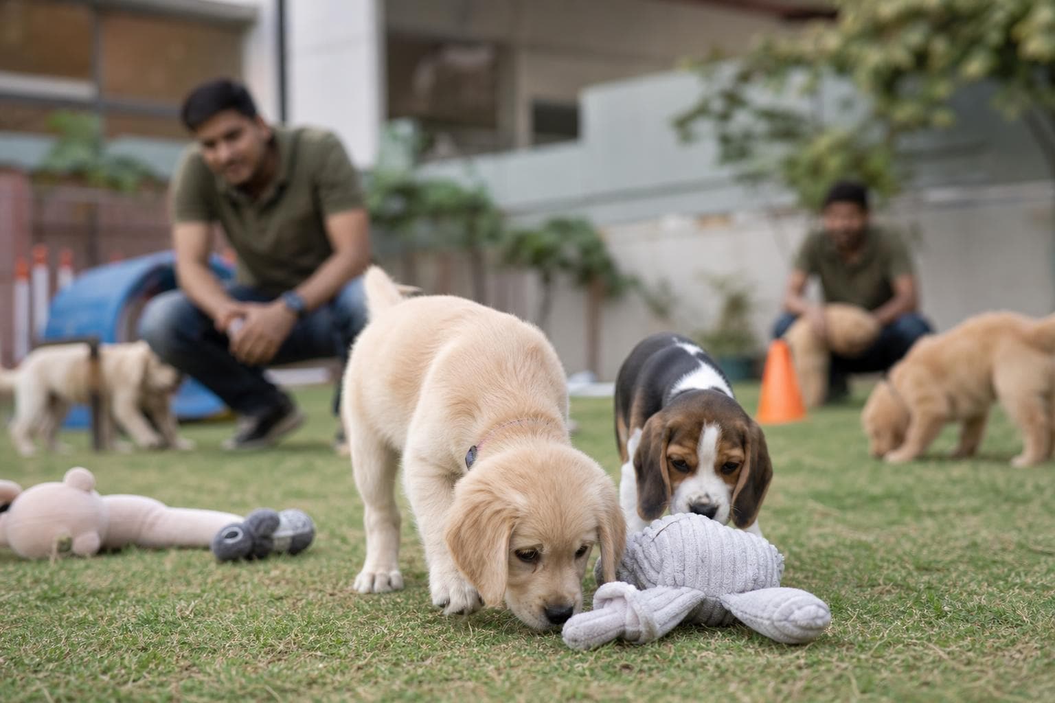 Puppy Socialization: Why Early Training Matters